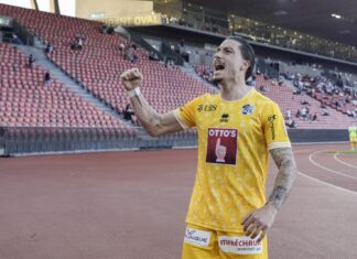 Vasic, Spadanuda, Karweina, Willimann und von Moos verlassen den FC Luzern