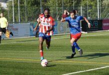 Kaltschnäuziges Rotkreuz demontiert Cham II