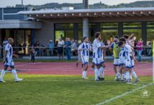 Meilenstein für Hochdorf: Einweihung neuer Arena-Rasen Soccer players in blue-and-white striped kits celebrate together near the track while a few spectators watch from behind a railing.