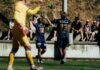 Frühe Luzerner Effizienz legt den Grundstein zum Testsieg gegen Winterthur Two soccer players in blue celebrate with a high-five on the field, a yellow-clad goalkeeper blurred in the foreground.