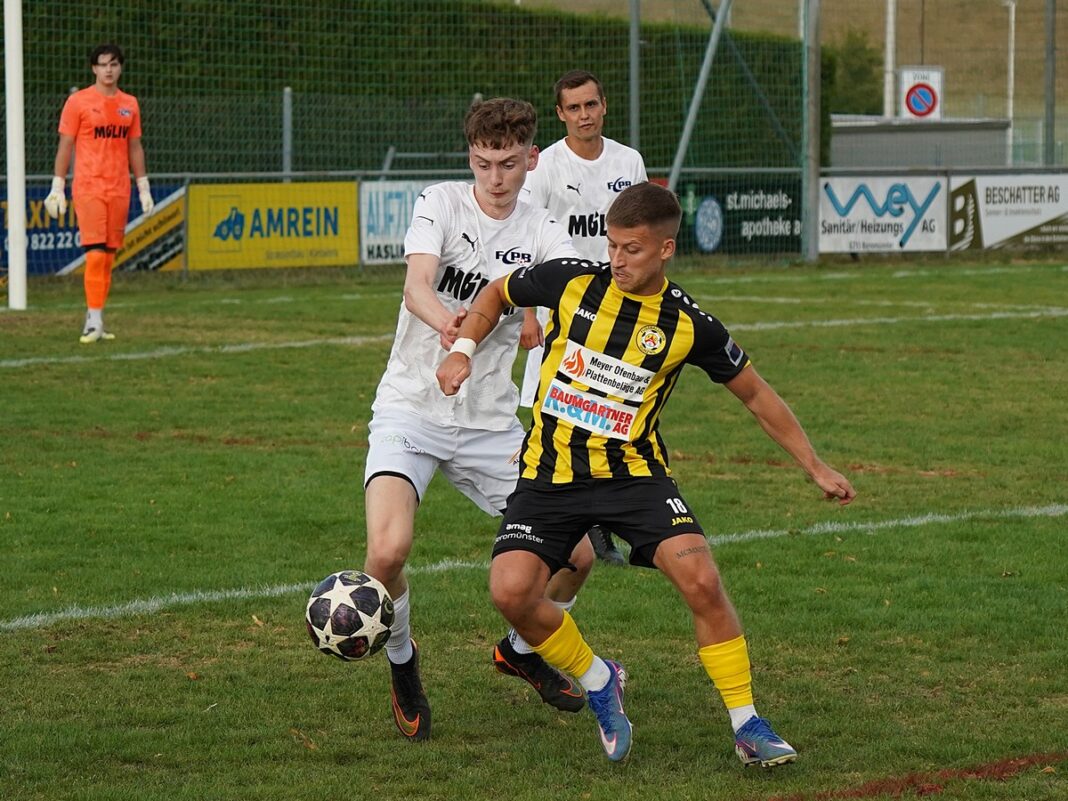 10 Two soccer players compete for the ball on a grassy field while a goalkeeper in orange watches from the goal area in the background.
