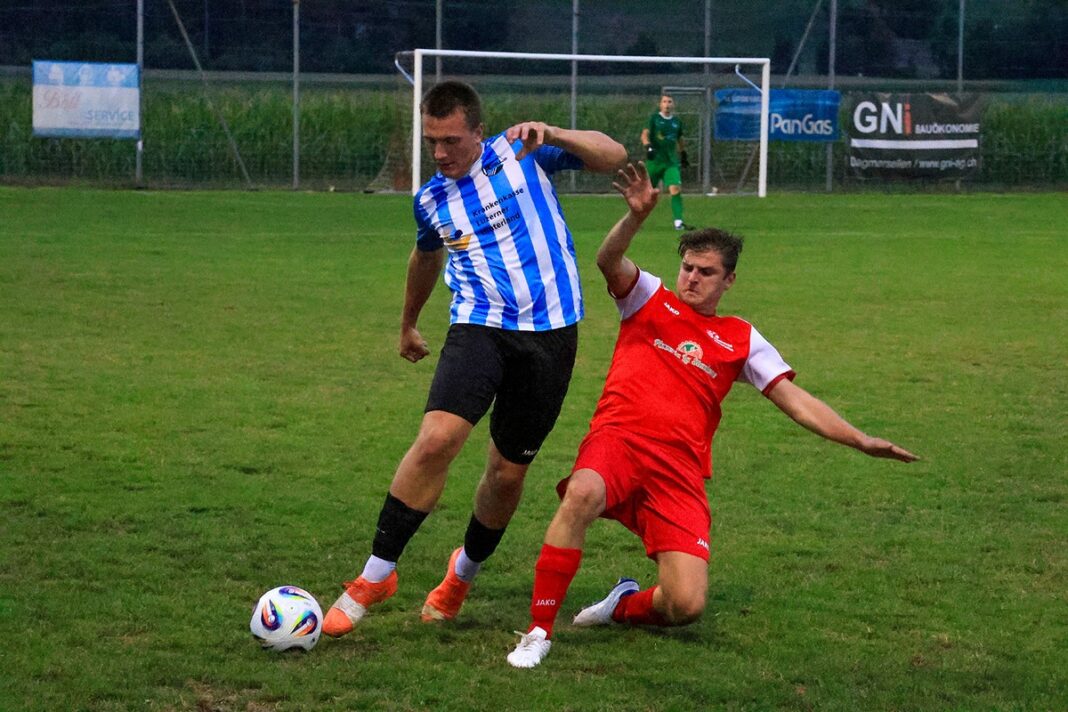 8G2A4749 Soccer players contest the ball on a grassy field near the goal; blue-and-white striped player shields the ball from a red opponent.
