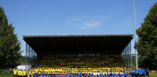 Large group photo in a stadium: many people in yellow shirts seated in the bleachers, with a blue-shirt group on the grass in front, under a clear blue sky.