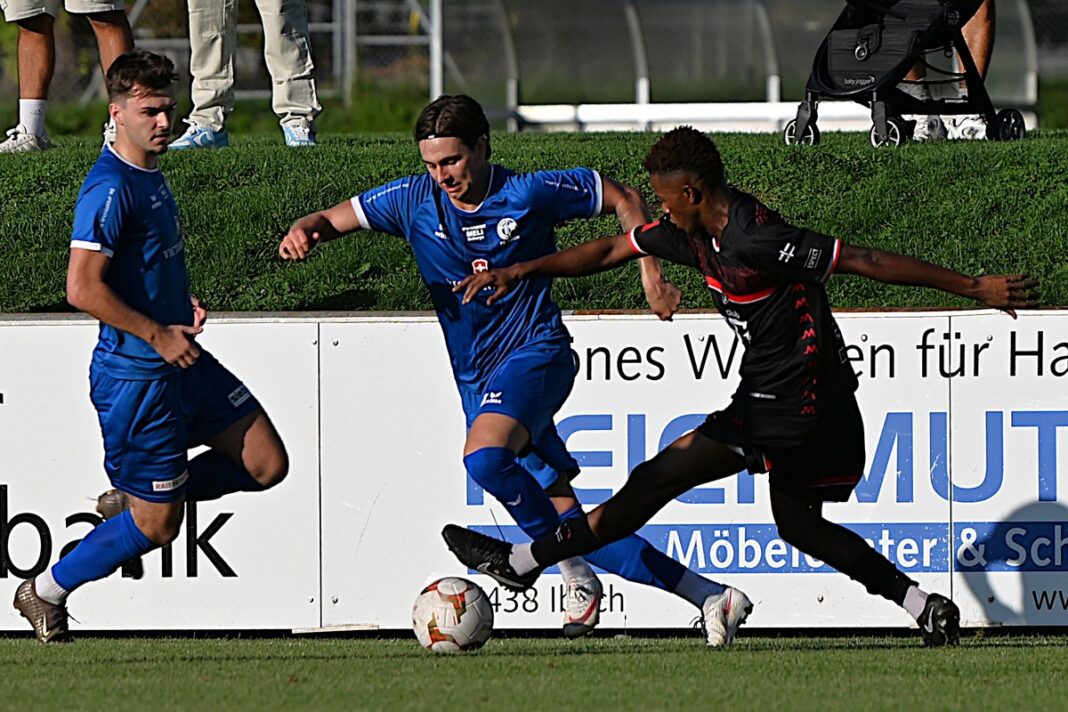 Two soccer players in blue and black jerseys challenge for the ball along advertising boards on a grassy field.