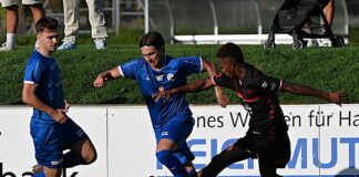 Two soccer players in blue and black jerseys challenge for the ball along advertising boards on a grassy field.