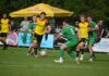 Spektakuläres 3:3 in Entlebuch: Root kämpft sich eindrücklich zurück Soccer match with players in yellow and green chasing a ball on a grassy field; spectators and a yellow umbrella in the background.
