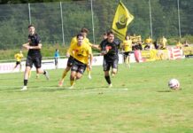 Yilmaz schiesst Schötz zum Heimsieg Soccer match: two teams in yellow and black chase the ball on a grassy field, with banners and spectators along the sideline in the background.