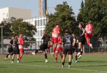 Starker Auftakt: Sursee holt Punkt gegen Chiasso Soccer players in red and black jerseys jump in the air during a match on a green field, celebrating near the goal area.