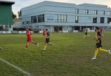 FC Gunzwil: Unverdiente Niederlage gegen Leader Willisau