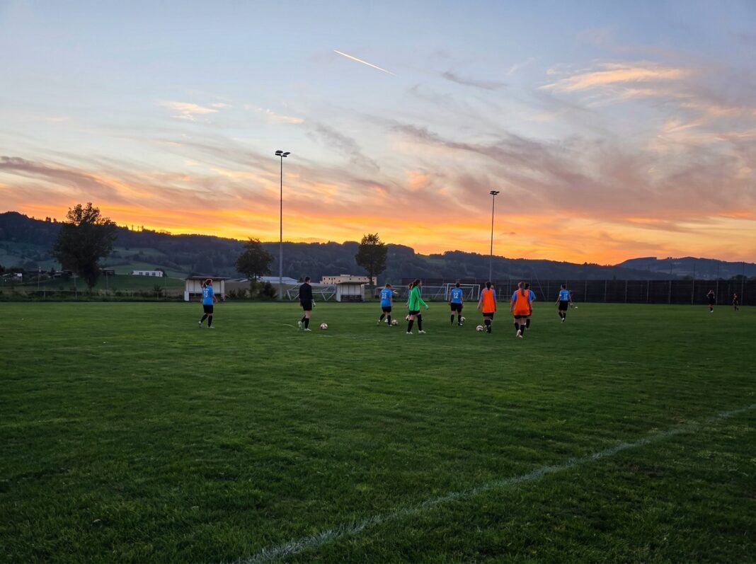luzernersc
