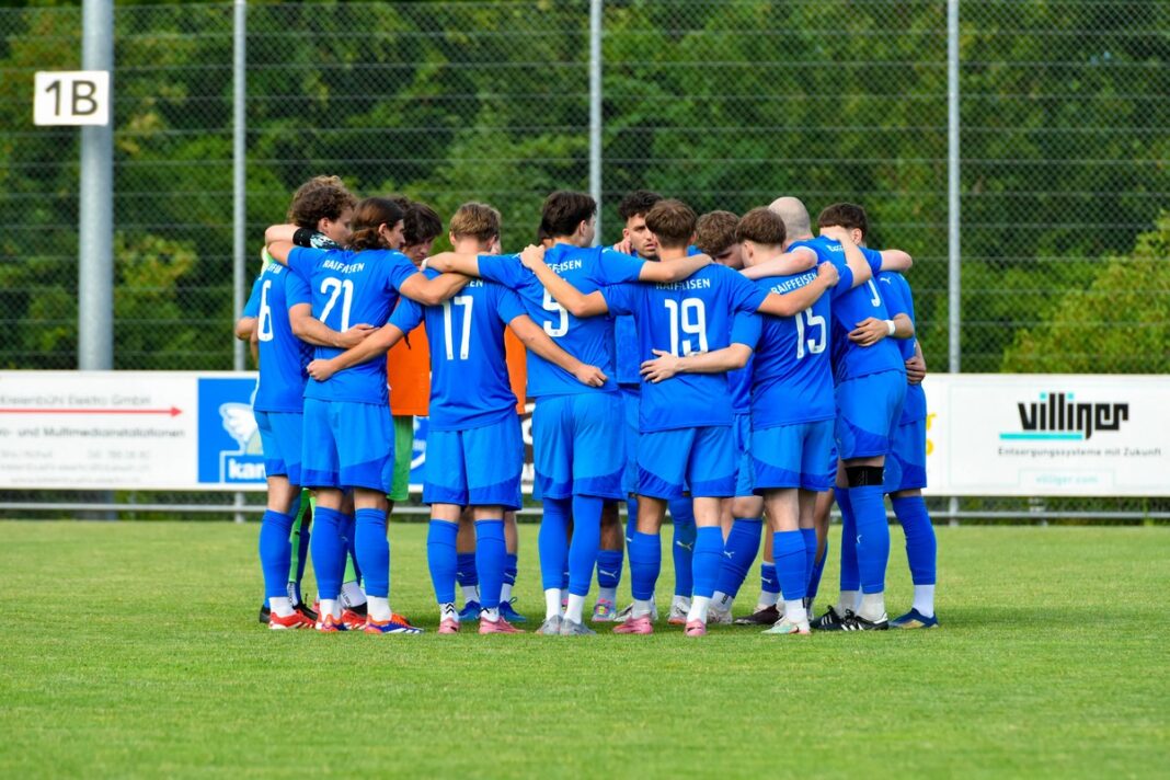 Bild-FC-Sins-
